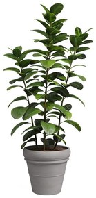 Ghiveci din teracotă ø 37 cm Mariza – Artevasi