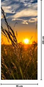 Fototapet pentru ușă - Câmp la apus de soare (95x205cm)