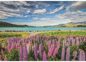 Orașe Lake Tekapo Puzzle Noua Zeelandă 1500 de piese Clementoni