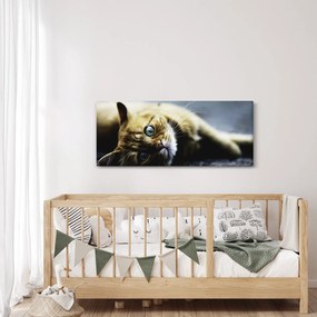 Tablou cu pisica (120x50 cm)