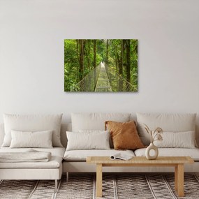Tablou - Pod suspendat (70x50 cm)