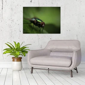 Tablou - Musca (70x50 cm), în 40 de alte dimensiuni noi