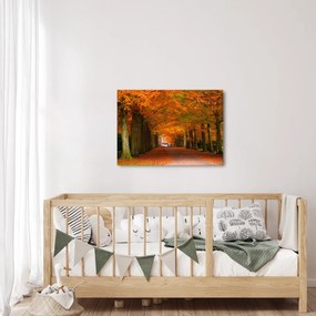 Tablou - Bulevardul de copaci în toamnă (70x50 cm)