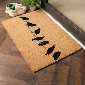 Covoraș de intrare din fibre de nucă de cocos 40x60 cm Birds On a Wire – Artsy Doormats