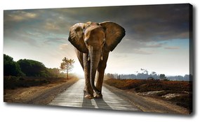 Tablou pe pânză Elefant de mers pe jos