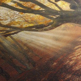 Tablou - Lumina de toamnă (90x60 cm)