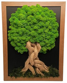 Copac unic cu mușchi - cadru maro închis 34 x 44 cm