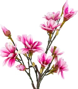 Magnolia Mirelia (verde + roz). Promo -17%. 1147146