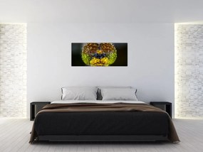 Tablou detailat cu ochii de omidă (120x50 cm)