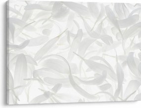 Tablou - Petale de frunze (70x50 cm)