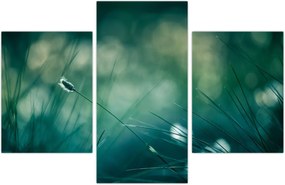 Tablou - Detaliu iarbă (90x60 cm)