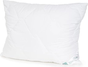 Set pilotă și pernă 4Home Aloe Premium, 140 x 220 cm, 70 x 90 cm