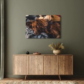Tablou cu câini dormind (90x60 cm)