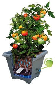Ghiveci cu auto-udare gri antracit 35 x 35 cm Bergamot - Plastia