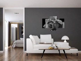 Tablou cu trandafir - albneagră (90x60 cm)