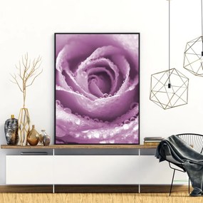 Poster - Trandafir (A4)