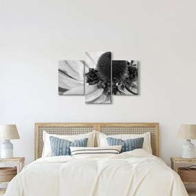 Tablou - Floare în alb-negru (90x60 cm)