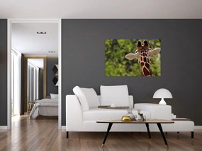 Tablou cu girafă din spate (90x60 cm)