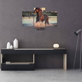 Tablou - Cal care aleargă (90x60 cm)