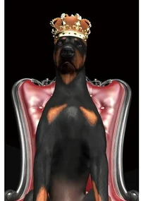 Tablou DOG IN CROWN 80x120cm