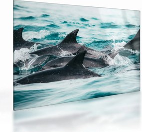 Tablou pe sticlă - Delfini în ocean (70x50 cm)