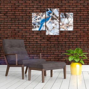 Tablou - Pasare de iarnă (90x60 cm)