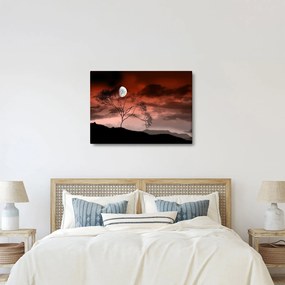 Tablou - Luna luminează noaptea (70x50 cm)