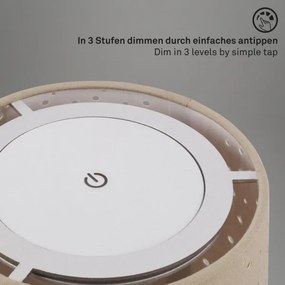 Lampă LED reîncărcabilă dimabilă de masă Brilo LOLE LED/3W/5V IP44 argintiu