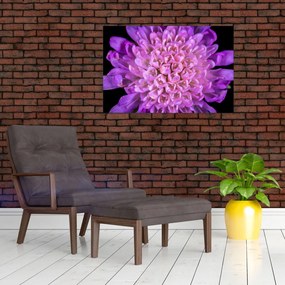Tablou detailat cu floare (90x60 cm)