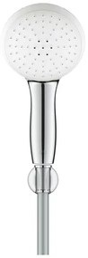 Set de dus Grohe Tempesta 110 cu porter si 2 functii