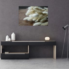 Tablou - Coadă de iepure (90x60 cm)