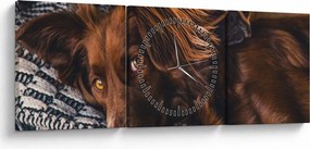 Tablou cu câini dormind (cu ceas) (90x30 cm)