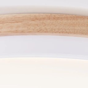 Plafonieră LED dimabilă Brilliant BAARLO LED/24W/230V d. 35 cm alb