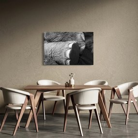 Tablou - Picior de elefant (90x60 cm)