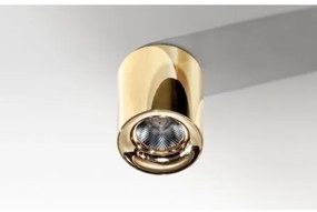 Azzardo AZ2846 - Plafonieră LED MANE 1xLED/10W/230V