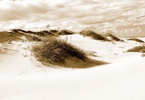 Fototapet - Peisaj cu Dune de Nisip – Sepia