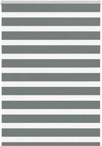 vidaXL Jaluzea tip zebra gri închis lățime țesătură 100,9 cm poliester