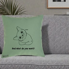 Perna Decorativa And What Do You Want Cat, 40x40 cm, Verde, Husa Detasabila, Perna Inclusa, BEKZ®