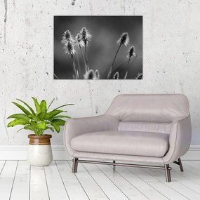 Tablou pe sticlă - Iarbă moale bej N⁰2 (70x50 cm)