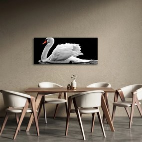 Tablou cu lebăda alb neagră (120x50 cm)