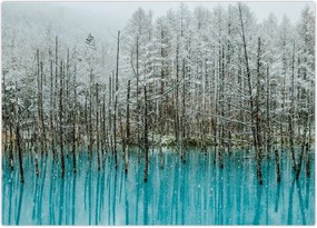Tablou - Pescărie turcoaz, Biei, Japonia (70x50 cm)