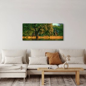 Tablou cu girafe în natură (120x50 cm)