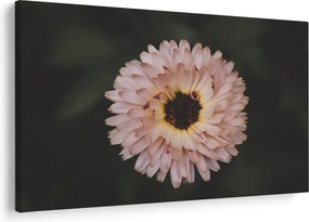 Tablou cu floare portocalie (90x60 cm)