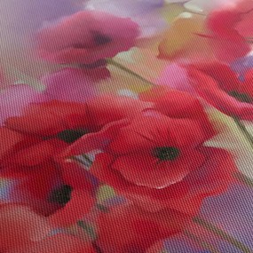 Tablou - Maci (70x50 cm)