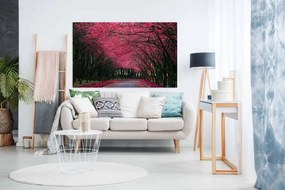 Tablou canvas alee toamna copaci rosii - 40x30 cm