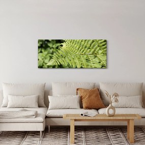 Tablou - Frunză de ferigă (120x50 cm)