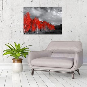 Tablou pe sticlă - Copaci în culorile toamnei (70x50 cm)