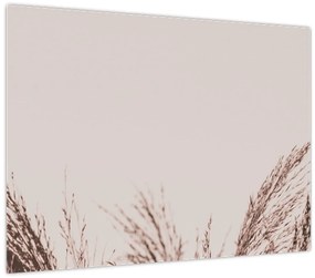 Tablou pe sticlă - Iarbă uscată (70x50 cm)