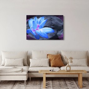 Tablou florilor în detailu (90x60 cm)