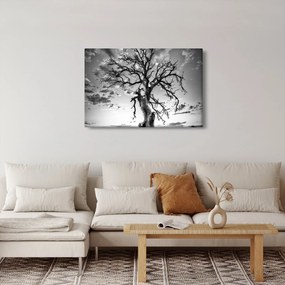 Tablou - Copacul, alb-negru (90x60 cm)